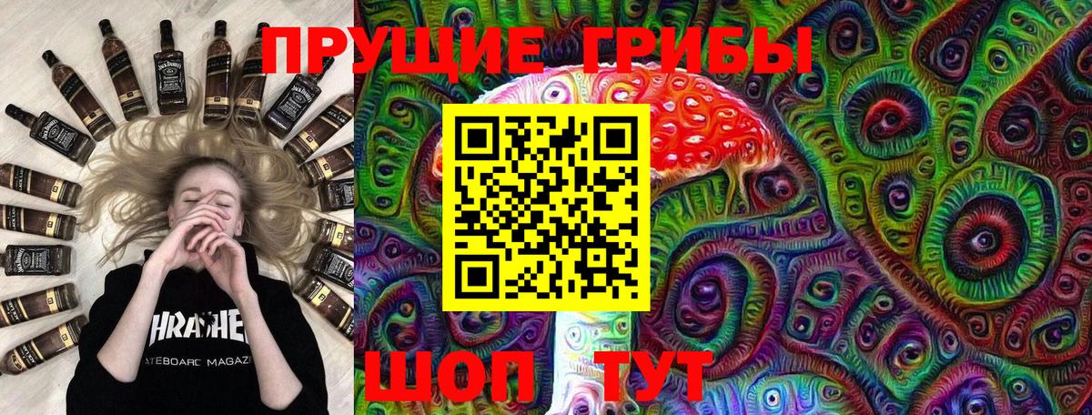 Галлюциногенные грибы Psilocybine cubensis Кострома