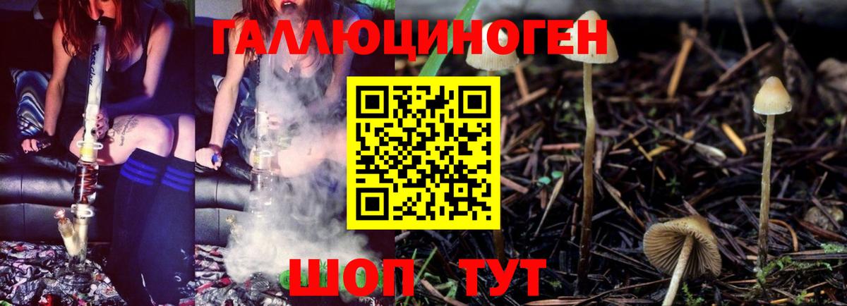 Кострома  что такое   Вход с VPN  Псилоцибиновые грибы ЛСД 